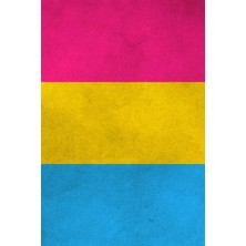 MUJGAN Pansexual Pride Flag Notebook: 6" x 9" 200 Page / 100 Sheet Blank College Ruled Note Book