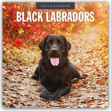 MUJGAN Black Labrador Retrievers – Schwarze Labrador Retriever 2025 – 16-Monatskalender: Original Red Robin Publishing Ltd-Kalender [mehrsprachig] [kalender] (Wall-Kalender)