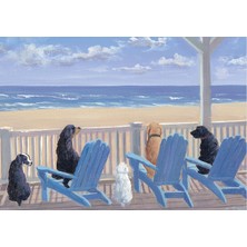 MUJGAN Dogs In Deck Chairs Note Cards (Boxed Cards, Stationery)