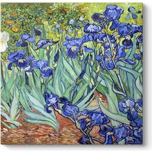 MUJGAN Vincent Van Gogh - Iris Süsen Çiçeği Kanvas Tablosu 90 x 90