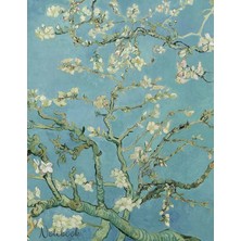 MUJGAN Notebook