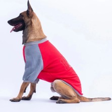 Pawstar 26788 Kırmızı Boston Büyük Irk Köpek Polar Sweatshirt