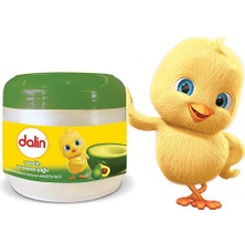 MUJGAN Dalin Avokadolu Vazelin 1 Paket (1 x 100 Ml)