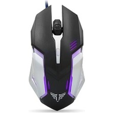 Everest SM-G72 USB Siyah Gümüş Işıklandırmalı Optik Oyuncu Mouse