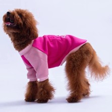 Pawstar 26776 Fuşya Boston Küçük Irk Köpek Polar Sweatshirt