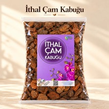 Plant Home Power Mix 3 Litre Ithal Çam Kabuğu - Ithal Orkide Toprağı - Elenmiş Temizlenmiş Iri Yapıda