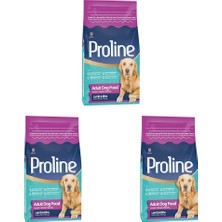 Defne Store Köpek Maması, Kuzu Etli Yetişkin, 2.2 kg (3 Paketi)