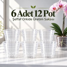 Plant Home Power Mix 6 Adet 12 Pot Şeffaf Orkide Üretim Saksısı 0.75 Litre Kaliteli Plastik 1 Adet