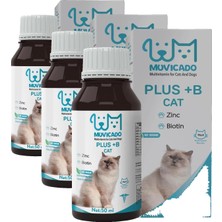 Kedi Tüy Sağlığı Damlası Plus +B Kediler Için Tüy ve Tırnak Sağlığını Destekleyen Multivitamin 50 ml (3 Paketi)