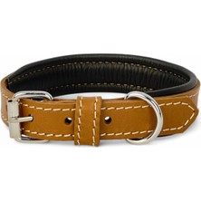 Rainbow Xs Hakiki Deri Küçük Köpek Tasması – Xs Beden, Küçük ve Mini Köpekler Için Tasma, Yumuşak Iç Deri, Krom Kaplamalı Toka & D-Halka, 7 Farklı Renk Seçenekleri (Taba)