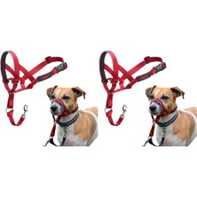 Company Of Animals Baş Tasması - Dolgulu Burun Bandı, Ayarlanabilir ve Yansıtıcı, Küçük Köpekler Için Profesyonel Çekme Önleyici Eğitim Yardımcısı (Boyut 1, Kırmızı) (2 Paketi)