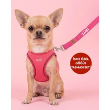 Isimli Köpek Göğüs Tasması Airmesh Isme Özel Göğüs Tasması ve Gezdirme Kayışı Seti I Küçük ve Orta Irk Köpekler I Renk Seçenekli (Pembe, Xs)