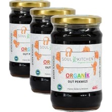 Kadıoğlu Ticaret Soul Kitchen Organik Dut Pekmezi 380 G (Soğuk Sıkım) (Şeker Ilavesiz) (3 Paketi)