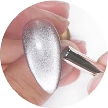 Trendexa Mıknatıs Kedi Gözü Uygulaması Için 1 Adet Güçlü Neodyum 5X25 mm