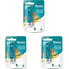 Trendexa Besleyici Dudak Kremi, Lip Balm, Buğday Tohumu Yağı, Nemlendirici, %100 Doğal Renk, Silikon Içermez, 4,5 G (3 Paketi)