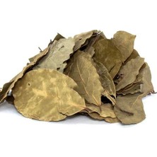 Trendexa Defne Yaprağı 500 G