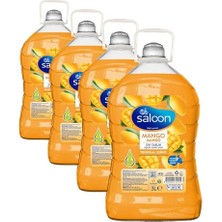Trendexa Sabun, Sivi, Taze Mango 3 L (4 Paketi)