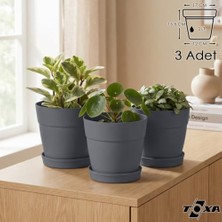 Trendexa Tabaklı Delikli Plastik Çiçek Saksısı, 17 cm 2.2 L, 3 Adet, Antrasit, Geçmeli Altlık Tek Hareketle Çıkar, Drenaj Delikleri Açık Gelir, Sukulent, Kaktüs, Sardunya ve Tüm Yeşil Bitkiler Için Uygun