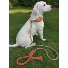 Köpek Gezdirme Kayışı & Boyun Tasması Tek Ürün 6 cm Çap Hasır Halat