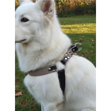 Köpek Göğüs Tasması Orta Irk Ayarlamalı Kolon Kordon Kum &amp;amp;amp; Siyah