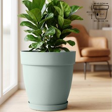 Mono Saksı Tabaklı Drenaj Delikli Izgaralı Plastik Çiçek Saksısı (Yeşil, 50 Litre)