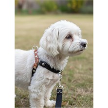 Köpek Göğüs Tasması Ayarlanabilir Minik Irk Deri Siyah