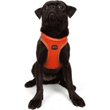 Air-Mesh Küçük ve Orta Irk Kedi Köpek Göğüs Tasması - Yumuşak, Nefes Alabilir, Dayanıklı (Neon-Turuncu, Medium)