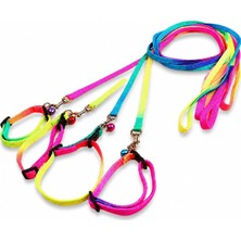 Küçük Irk Köpek Gökkuşağı Renkli Boyun+ Gezdirme Tasma 1X120 cm