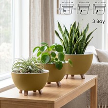 Sora Saksı Süzgeçli Ayaklı Delikli Plastik Aranjman Sukulent Saksısı (Sarı, 3 Boy)