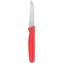 Basic Küt Ağızlı Sebze Meyve Bıçağı 8cm Metal Bıçak 18CM Komple Ölçü 1 Adet Kırmızı
