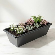 Metal Dikdörtgen Balkon Saksılığı - 53 cm Paslanmaz Galvaniz Dekoratif Yatay Çiçeklik (Antrasit)
