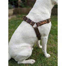 Köpek Göğüs Tasması Ayarlanabilir Büyük Irk Kolon Kordon Koyu Haki