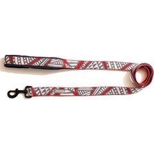 Köpek Gezdirme Tasması Hi Dream Ancient Castle Berry Red, L