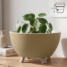 Sora Saksı Süzgeçli Ayaklı Delikli Plastik Aranjman Sukulent Saksısı (Sarı, 6.3 Litre)