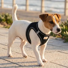 Köpek ve Kedi Göğüs Tasması Xl | Nefes Alabilen File Kumaş | Ayarlanabilir Yelek Tasarım | Yansıtıcı Şeritli | Küçük Irk Köpek ve Kediler Için