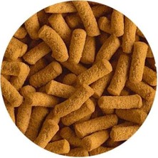 Ed Collection Cichlid Sticks Doromin 500GR - Kovadan Bölme