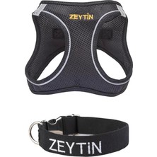 Kişiye Özel Isimli Air Mesh Göğüs Tasması ve Isimli Köpek Tasması I 2'li Set I Küçük ve Orta Irk Köpekler I Renk Seçenekli (Siyah, Xs)