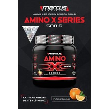 Amino x Series 500 G (Portakal Aromalı)