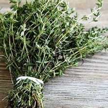 Aromatik Dağ Kekiği Tohumu 1000+ Tohum Paketi