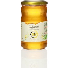 Bingöl Yayla Balı 850GR
