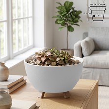 Sora Saksı Süzgeçli Ayaklı Delikli Plastik Aranjman Sukulent Saksısı (Krem, 3.6 Litre)
