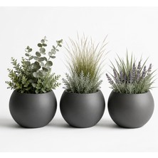 Zevli Japandi Tarzı Modern Küre Saksı 3'lü Set - Su Sızdırmaz Dekoratif Salon ve Balkon Saksısı Hediyelik Çiçeklik Seti (Antrasit, Orta Boy)