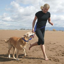 Indirimsmart Bundera Köpek Tasması Eller Serbest Kedi Köpek Gezdirme Bel Tasması Kayışı Ipi Ayarlanabilir Tasma (Lacivert)