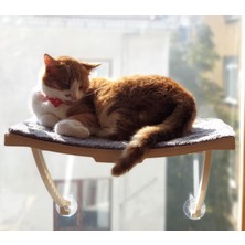 Ata Home Yeni Dizayn Lüx Cam ve Duvar Için Kedi Yatağı Vantuzlu