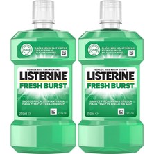 Fresh Burst, Günlük Ağız Bakım Ürünü, Plak Oluşumu ile Savaşan Anti-Bakteriyel Ağız Bakım Formülü, 250ML (2 Paketi)