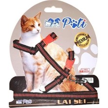 Yavru Köpek ve Kedi Gezdirme Takım Tasması (Ayarlanabilir) (Siyah-Kırmızı Şeritli, Standart)