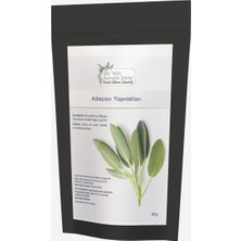 Adaçayı 20 Gr- Şile Tıbbi Aromatik Bitkiler Tarımsal Kalkınma Kooperatifi Adaçayı