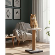 Pet Tekli Step Kedi Tırmalama Tahtası Gri