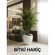 Modern Iç ve Dış Mekan Kullanımı, 40X45 Cm, Beyaz, Polyester Fiber Beton Amorf Saksı Modern Dekoratif Saksı