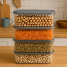 4 Parça Saklama Kabı Mikrodalga Uyumlu Buzdolabı Düzenleyici Saklama Kabı 4X5300 ml Antrasit